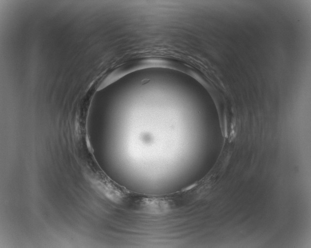 X0000081590520200701151312