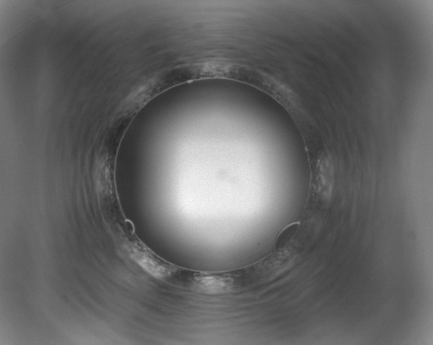 X0000081590522200701151312
