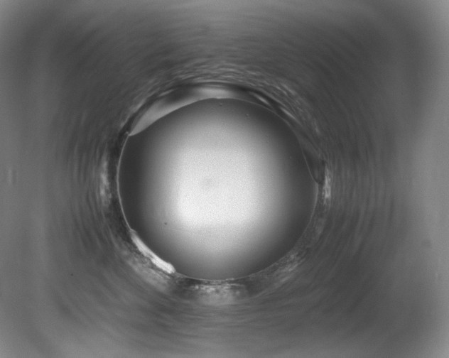 X0000081590524200701151312
