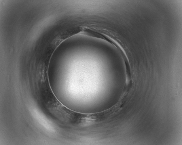 X0000081590525200701151312