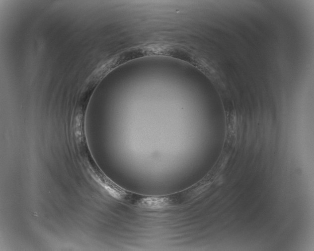 X0000081590526200701151312