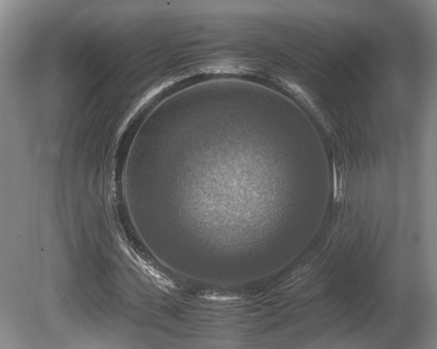 X0000081590531200701151311