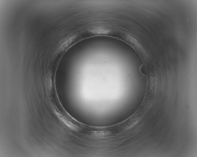 X0000081590541200701151312