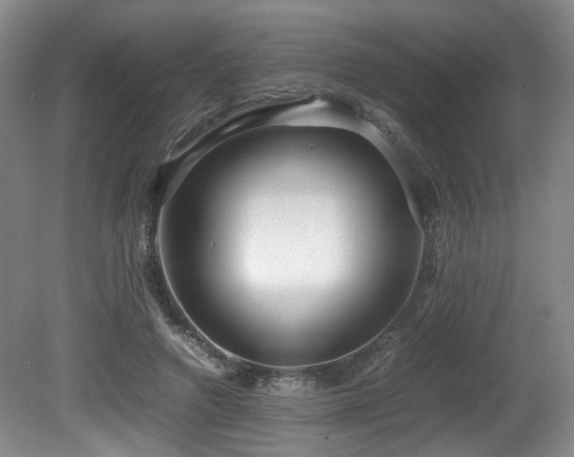 X0000081590546200701151312