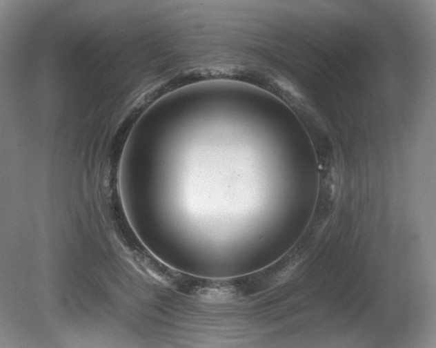 X0000081590548200701151312