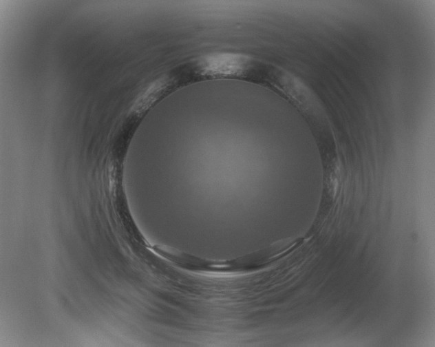 X0000081590551200701151312
