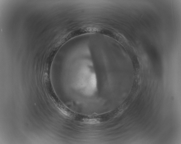 X0000081590553200701151312