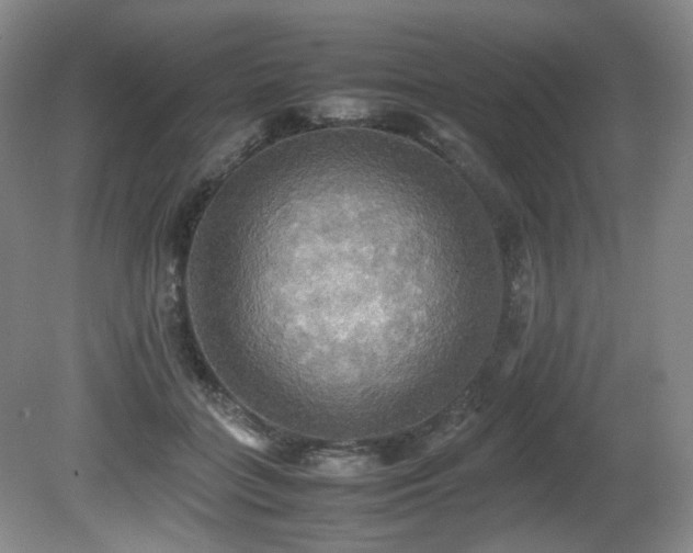 X0000081590555200701151312
