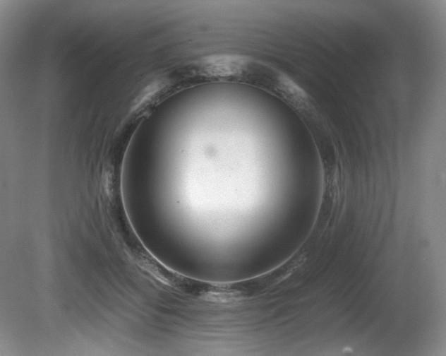 X0000081590556200701151312