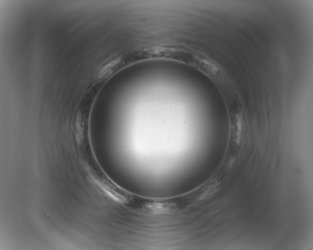 X0000081590558200701151312