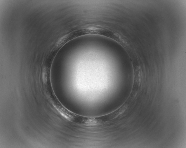 X0000081590562200701151312
