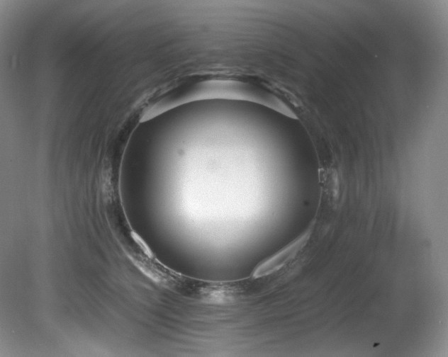X0000081590564200701151312