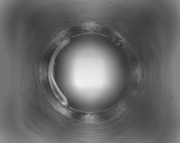X0000081590566200701151312