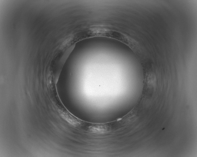 X0000081590567200701151312