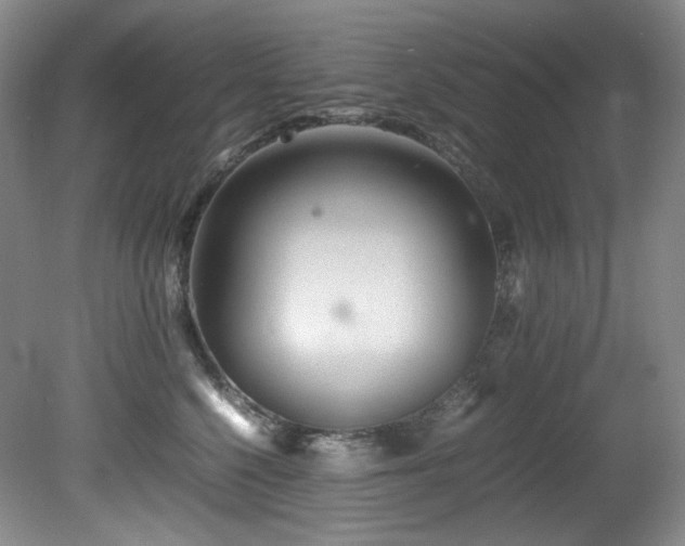 X0000081590568200701151312