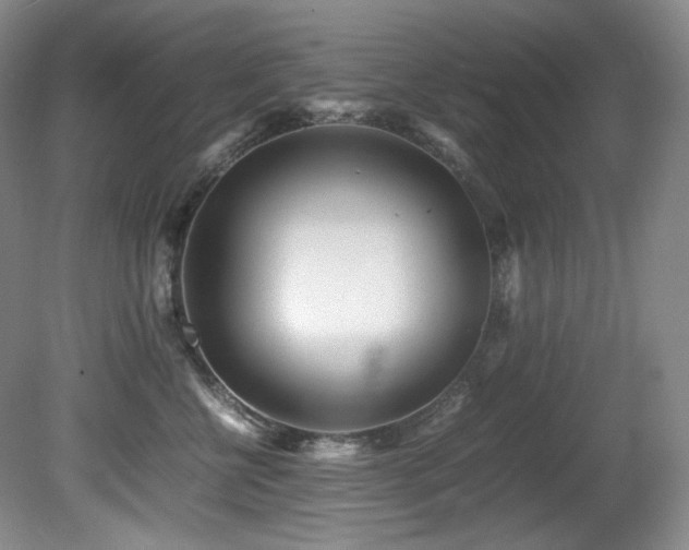 X0000081590570200701151312