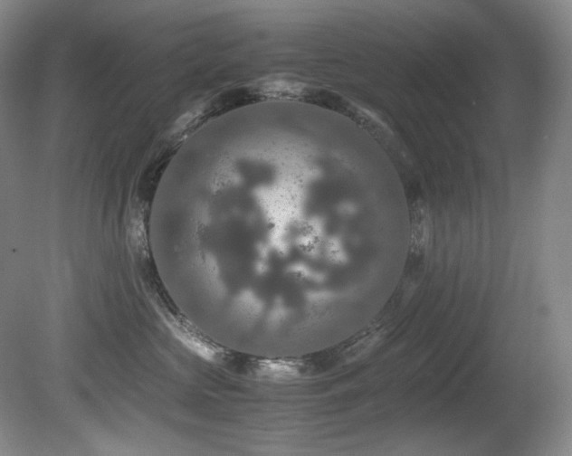 X0000081590573200701151312