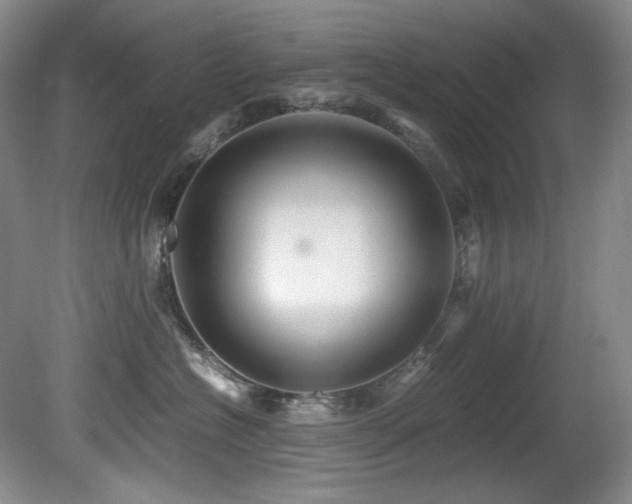 X0000081590574200701151312
