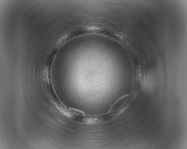 X0000081590575200701151312