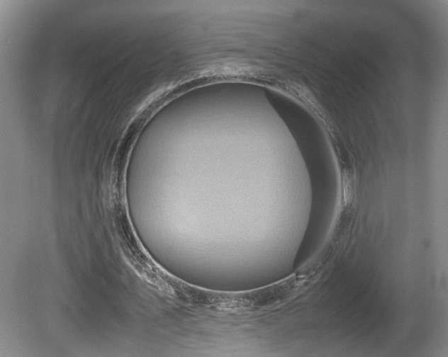 X0000081590579200701151311