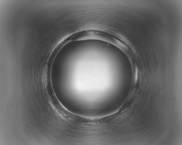 X0000081590580200701151311