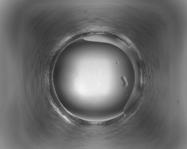 X0000081590581200701151311
