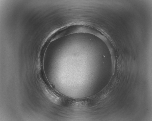 X0000081590584200701151311