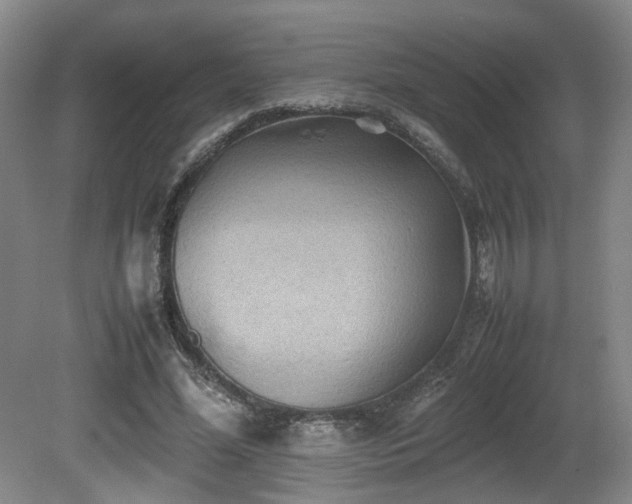 X0000081590588200701151311