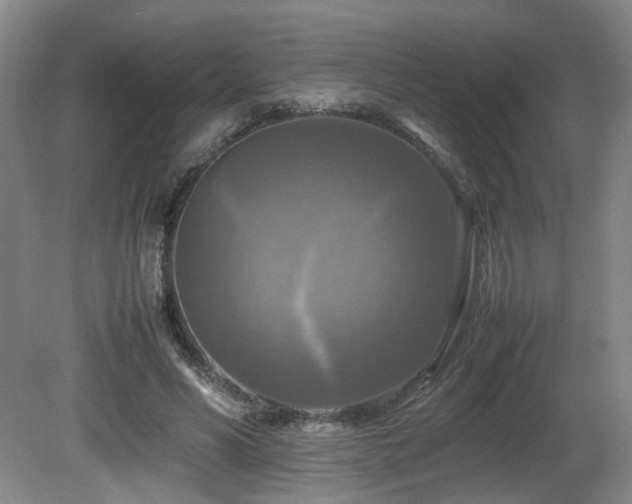 X0000081590590200701151311