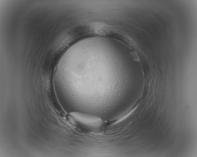 X0000081590595200701151311