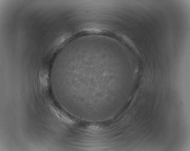 X0000081590596200701151311
