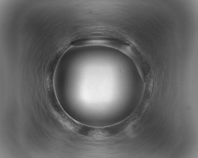 X0000081590597200701151311