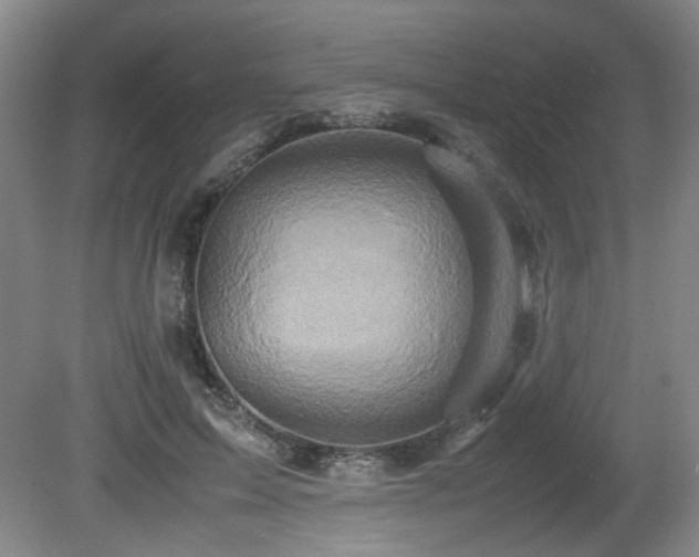 X0000081590599200701151311