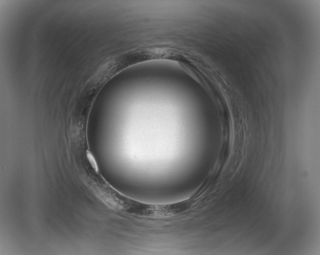X0000081590601200701151311