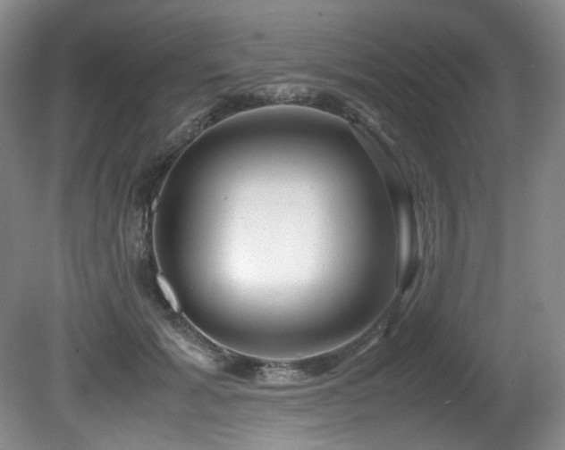 X0000081590605200701151311