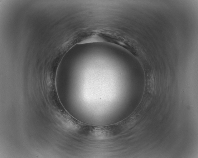 X0000081590608200701151311