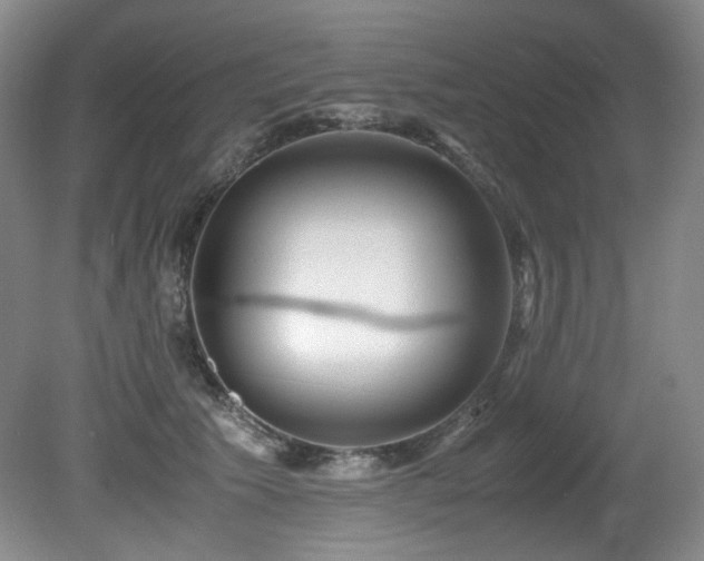 X0000081590609200701151311