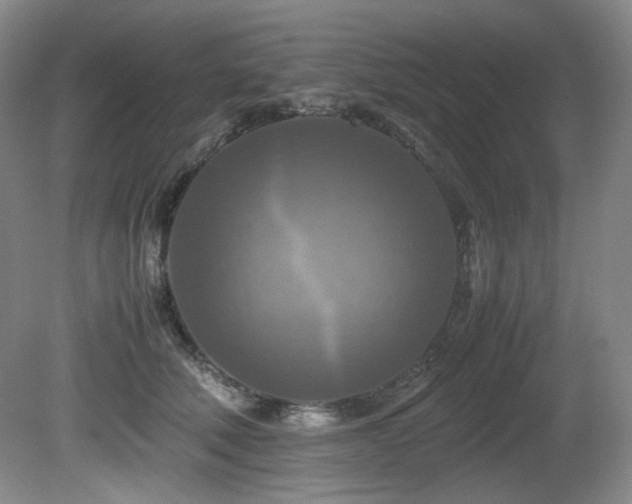 X0000081590610200701151311