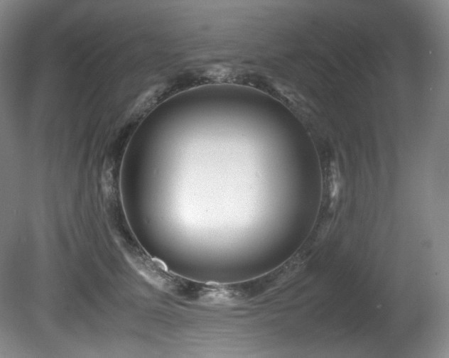 X0000081590611200701151311