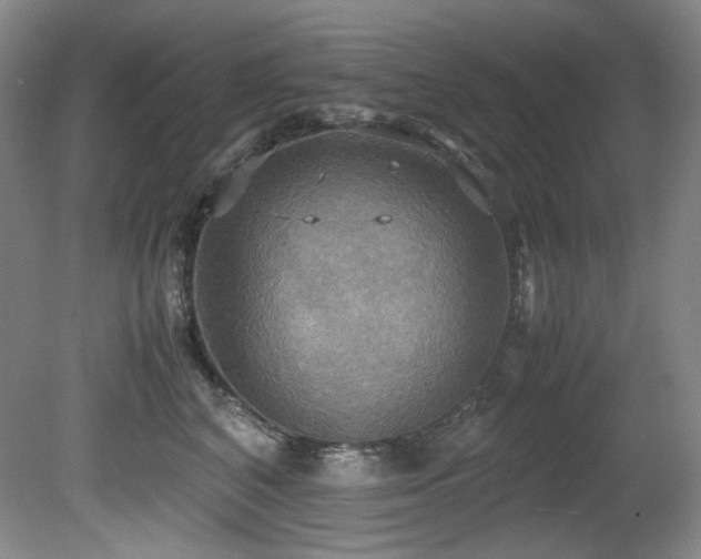 X0000081590616200701151311