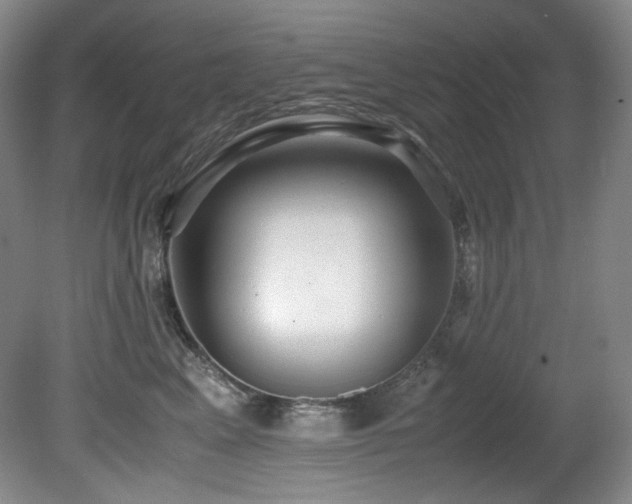 X0000081590617200701151311