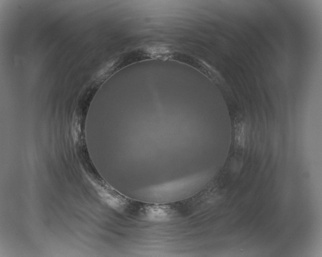X0000081590618200701151311