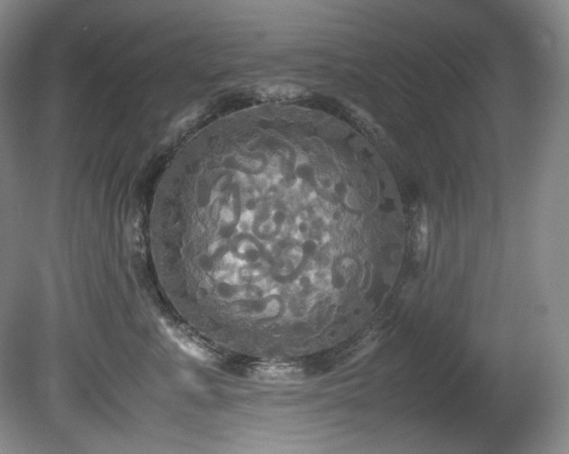 X0000081590619200701151311
