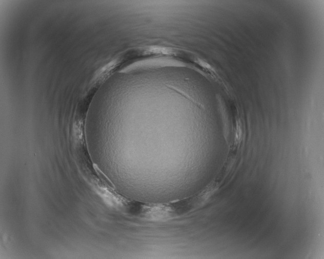 X0000081590621200701151311