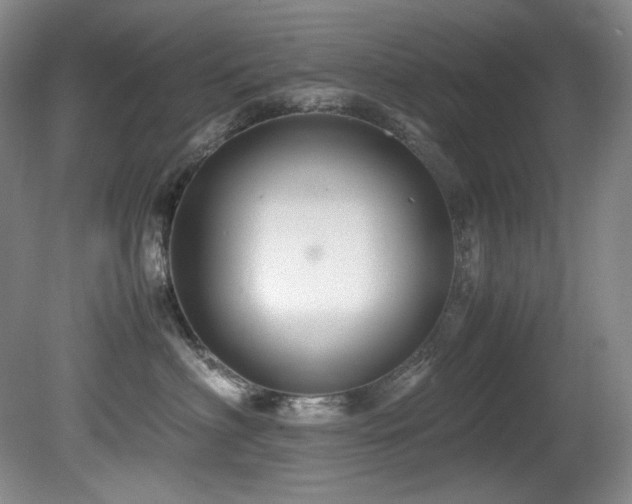X0000081590622200701151311