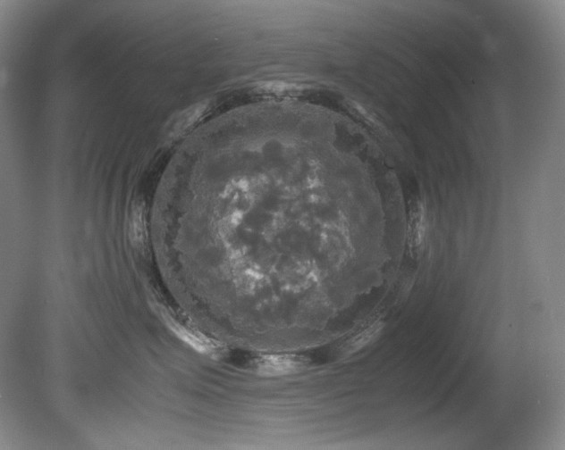 X0000081590623200701151311