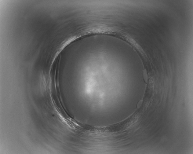 X0000081590626200701151310