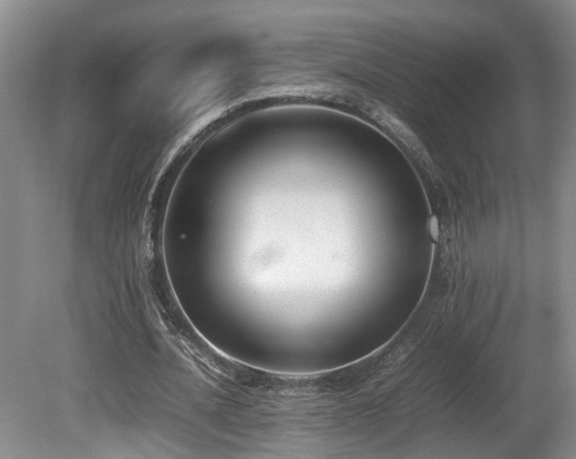 X0000081590628200701151310