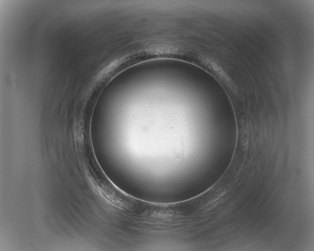 X0000081590631200701151310