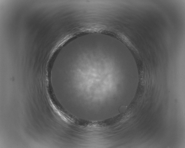 X0000081590634200701151310